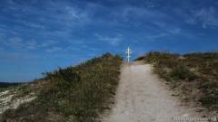 Паломничество в Задонск-Дивногорье-Костомарово