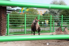 Мероприятия прихода храма Святой Живоначальной Троицы поселка Зельва