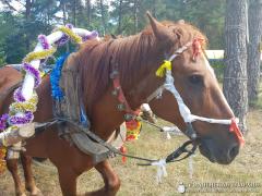 Архиепископ Артемий встретился с участниками XII епархиального экологического слета православной молодежи