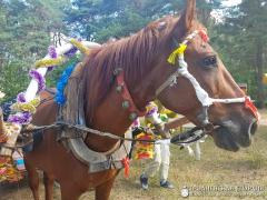 Архиепископ Артемий встретился с участниками XII епархиального экологического слета православной молодежи