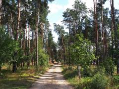 Воспоминания о поездке в Свято-Елисеевский Лавришевский мужской монастырь