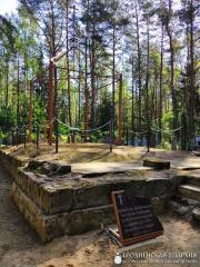 Крестный ход к месту разрушенного храма святого благоверного князя Александра Невского д. Провожа