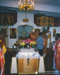 Цветок на могилу покойного Данещика Юрия Евгеньевича