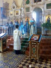 Цветок на могилу покойного Данещика Юрия Евгеньевича