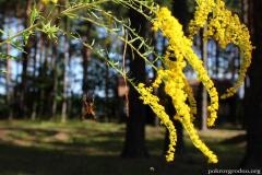 В деревне Поречье прошел VIII летний семейный лагерь