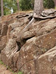 О паломнической поездке на Валаам рассказали на встрече сестричества Покровского собора