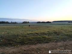 Поход скаутских клубов Гродненской епархии