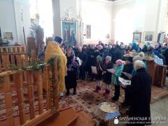 Престольный праздник храма деревни Дубно