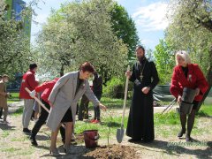 Прихожане храма Усекновения главы Иоанна Предтечи приняли участие в акции "Сирень победы"