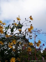 Паломническая поездка сестричества Покровского собора в Полоцкий Спасо-Ефросиниевский монастырь