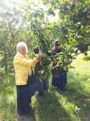 Паломническая поездка сестричества Покровского собора в Полоцкий Спасо-Ефросиниевский монастырь