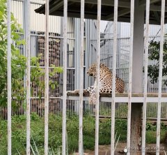 Подопечные Гродненского благотворительного общества посетили зоопарк