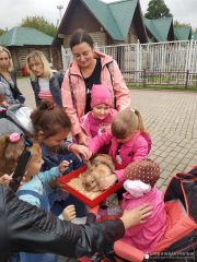 Подопечные Гродненского благотворительного общества посетили зоопарк