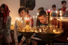 Новую икону для горнего места освятили в Ольгинском храме Покровского собора Новую икону для горнего места освятили в Ольгинском храме Покровского собора