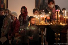 Новую икону для горнего места освятили в Ольгинском храме Покровского собора Новую икону для горнего места освятили в Ольгинском храме Покровского собора