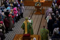 В праздник Входа Господня в Иерусалим архиепископ Артемий возглавил праздничное богослужение в Покровском соборе