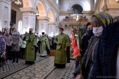 В праздник Входа Господня в Иерусалим архиепископ Артемий возглавил праздничное богослужение в Покровском соборе