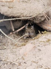 2"А" и 2"Б" воскресной школы Покровского собора посетили Жировичский монастырь