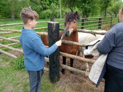 2"А" и 2"Б" воскресной школы Покровского собора посетили Жировичский монастырь