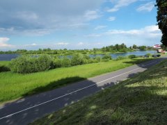 Паломническая поездка сестричества Покровского собора в Свято-Иоанно-Кормянский женский монастырь