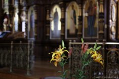 Епископ Антоний возглавил в Покровском соборе Божественную литургию и молебен о мире и единстве народа Божия