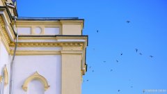 Престольные торжества в храме Преображения Господня деревни Деречин возглавил епископ Гродненский и Волковысский Антоний