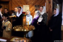 В Неделю 13-ю по Пятидесятнице епископ Антоний совершил Литургию в храме благоверного князя Александра Невского городского поселка Вороново В Неделю 13-ю по Пятидесятнице епископ Антоний совершил Литургию в храме благоверного князя Александра Невского городского поселка Вороново