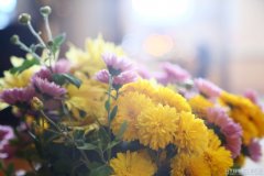 В канун Недели по Воздвижении архиепископ Антоний совершил всенощное бдение в Покровском кафедральном соборе города Гродно В канун Недели по Воздвижении архиепископ Антоний совершил всенощное бдение в Покровском кафедральном соборе города Гродно