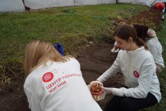 Возле гродненского хосписа появилось «Поле надежды» 