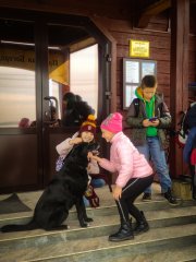 Поход с зарицкими скаутами: «Пока взрослым интересно играть в эту игру, детям тоже будет интересно» Поход с зарицкими скаутами: «Пока взрослым интересно играть в эту игру, детям тоже будет интересно»