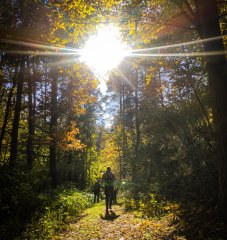 Поход с зарицкими скаутами: «Пока взрослым интересно играть в эту игру, детям тоже будет интересно» Поход с зарицкими скаутами: «Пока взрослым интересно играть в эту игру, детям тоже будет интересно»