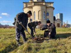 На территории гродненского храма в честь Собора всех Белорусских святых появились новые деревья 