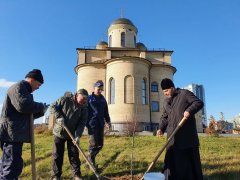 На территории гродненского храма в честь Собора всех Белорусских святых появились новые деревья 