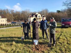 На территории гродненского храма в честь Собора всех Белорусских святых появились новые деревья 