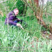 16 мая 2015 года. Братчики молодежных братств города Гродно приняли участие в акции «Зробiм/ Let's Do It»