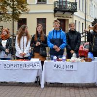 Благотворительная акция молодежного братства Покровского собора в поддержку Саши Дорошко