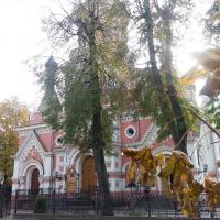 Библиотекари гродненской области провели в Покровском соборе практический семинар «Современные подходы к деятельности библиотекарей»