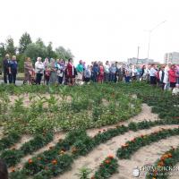 Крестный ход в честь Собора Белорусских Святых в городе Мосты