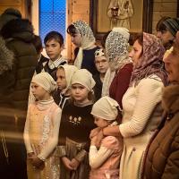 Живая жизнь Ольшанки