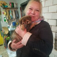 В Гродно прошла акция «Будь добрее» в помощь бездомным животным 