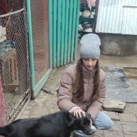 В Гродно прошла акция «Будь добрее» в помощь бездомным животным 