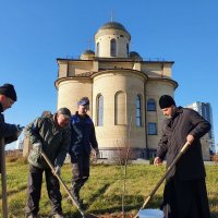 На территории гродненского храма в честь Собора всех Белорусских святых появились новые деревья 